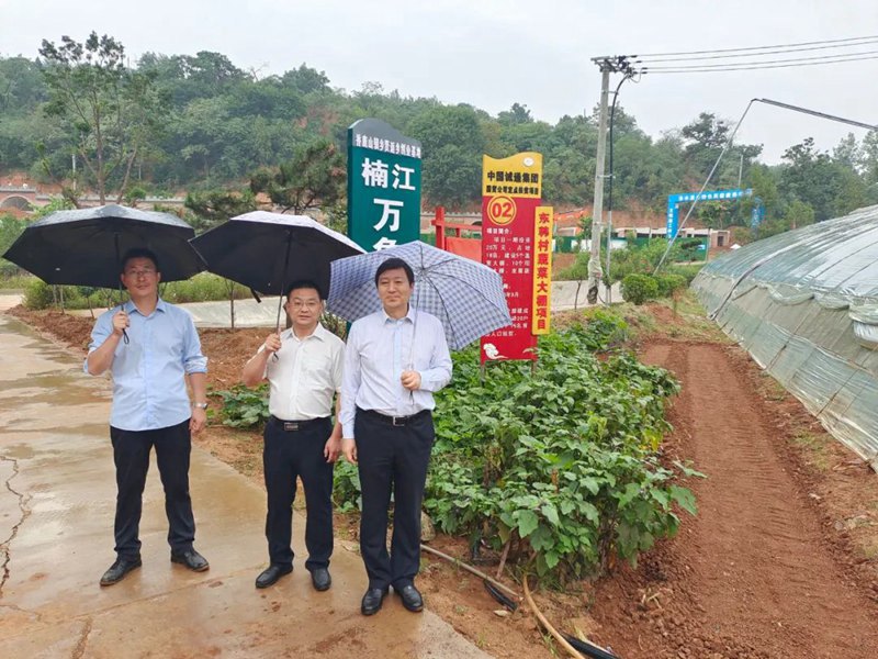 诚通国贸纪委书记王鲁生到宜阳县香鹿山镇东韩村调研乡村振兴工作